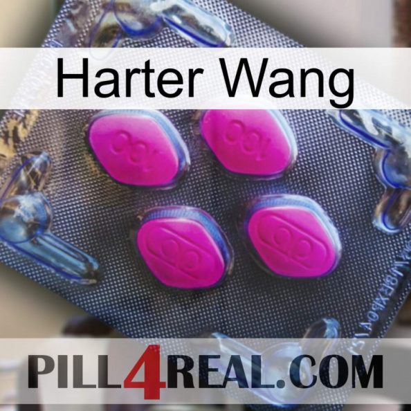 Hard Wang 02